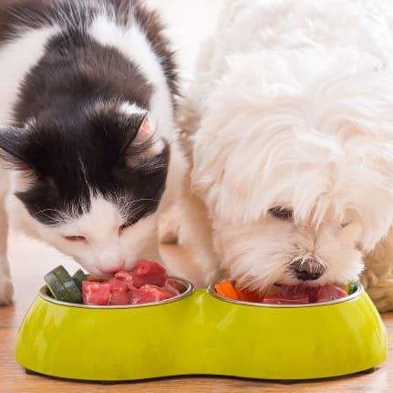 Alimentos para perros y gatos