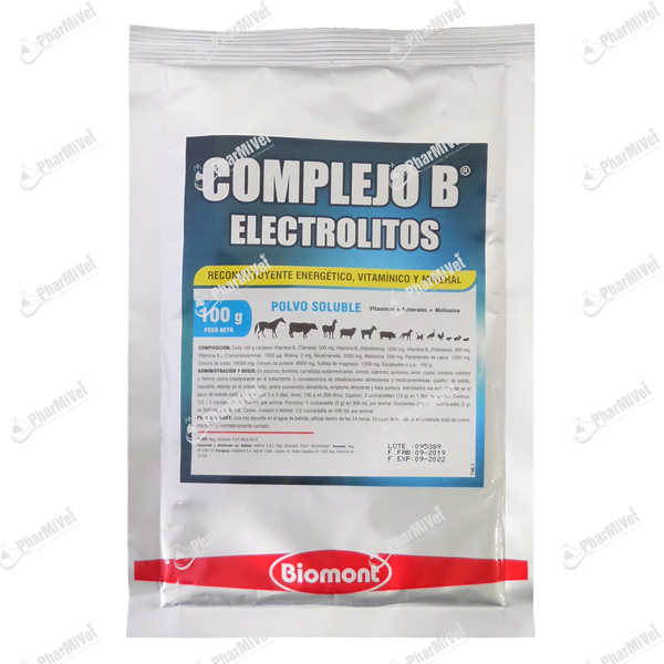 COMPLEJO B C/ELECTROLITOS X 100 GR