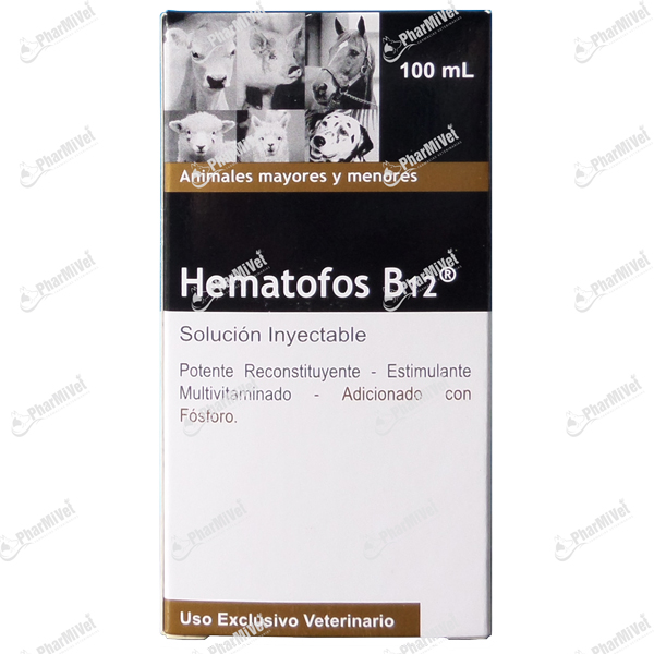 HEMATOFOS B12 X 100 ML