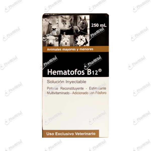HEMATOFOS B12 X 250 ML
