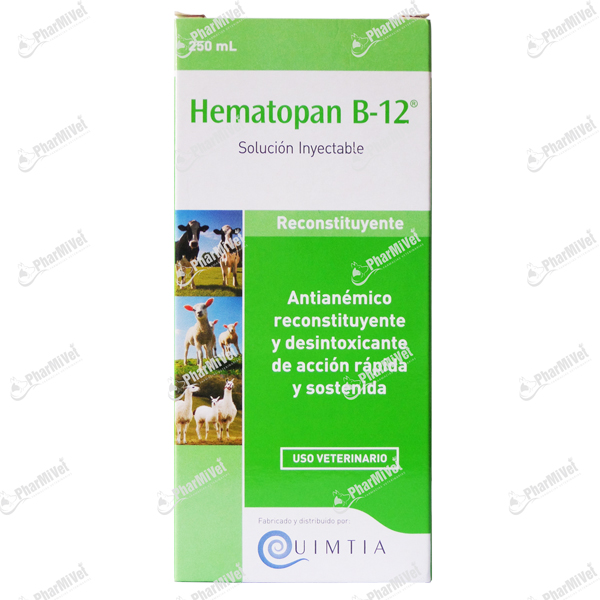 HEMATOPAN B12 X 250 ML