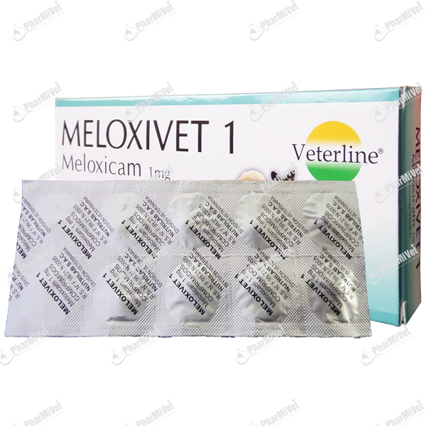 MELOXIVET 1 MG X UND