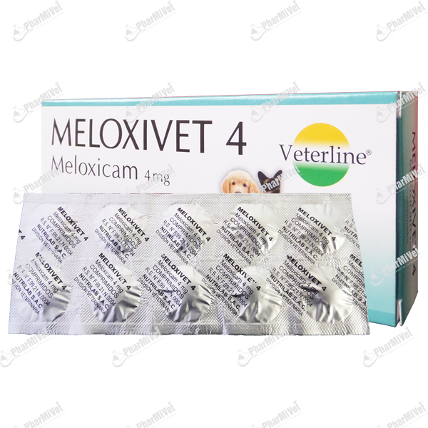 MELOXIVET 4 MG X UND