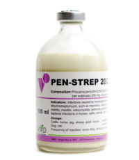 PEN STREP 20/20 X 50 ML
